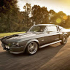 Meet your Posher, Samuel